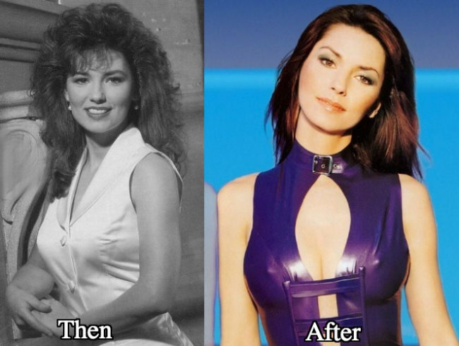 An image of Shania Twain